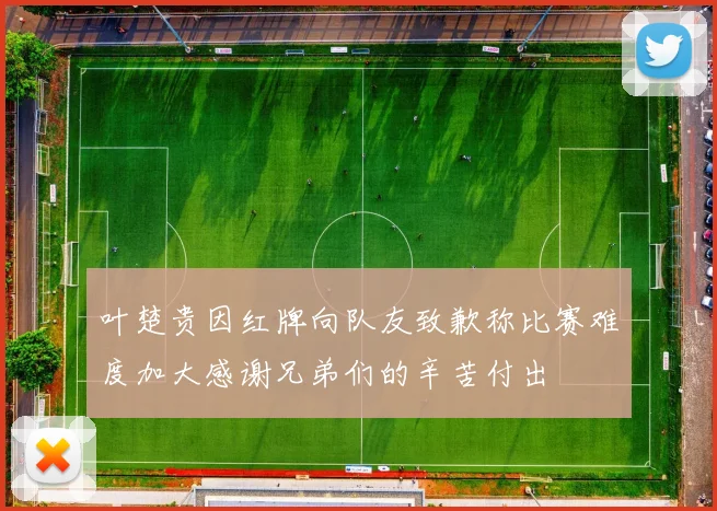 叶楚贵因红牌向队友致歉称比赛难度加大感谢兄弟们的辛苦付出